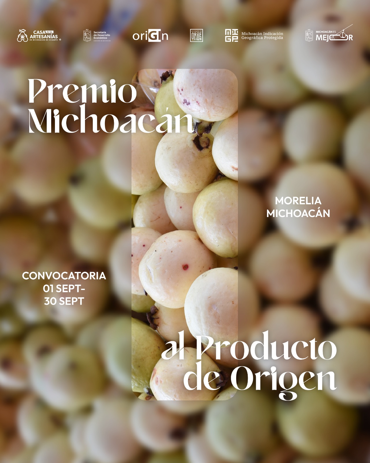 Premio Michoacán al Producto de Origen busca reconocer la excelencia y el orgullo local.