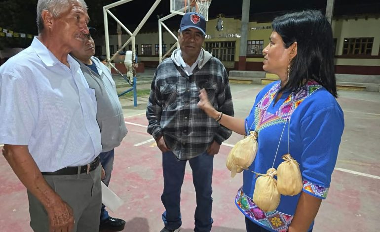 Consulta a pueblos indígenas y personas con discapacidad, paso pendiente para reformar la Ley de Educación