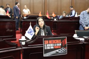 Impulsa diputada Tere Herrera la creación de espacios para lactancia materna en los DIF municipales