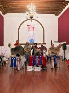 MEXICANOS CONQUISTAN EL BEST IN SHOW EN COMPETENCIA INTERNACIONAL DE ESTÉTICA CANINA CELEBRADA EN MORELIA
