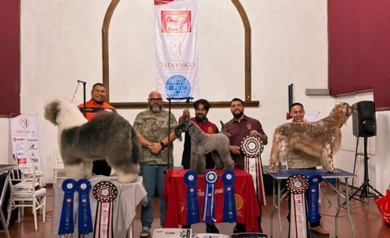 MEXICANOS CONQUISTAN EL BEST IN SHOW EN COMPETENCIA INTERNACIONAL DE ESTÉTICA CANINA CELEBRADA EN MORELIA