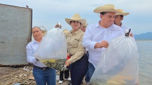 Compesca dona 100 mil crías de tilapia para fortalecer la producción acuícola en Churumuco