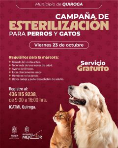 SSM llevará jornada gratuita de esterilización canina y felina a Quiroga