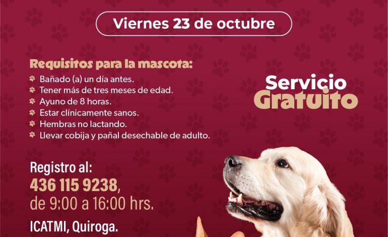SSM llevará jornada gratuita de esterilización canina y felina a Quiroga