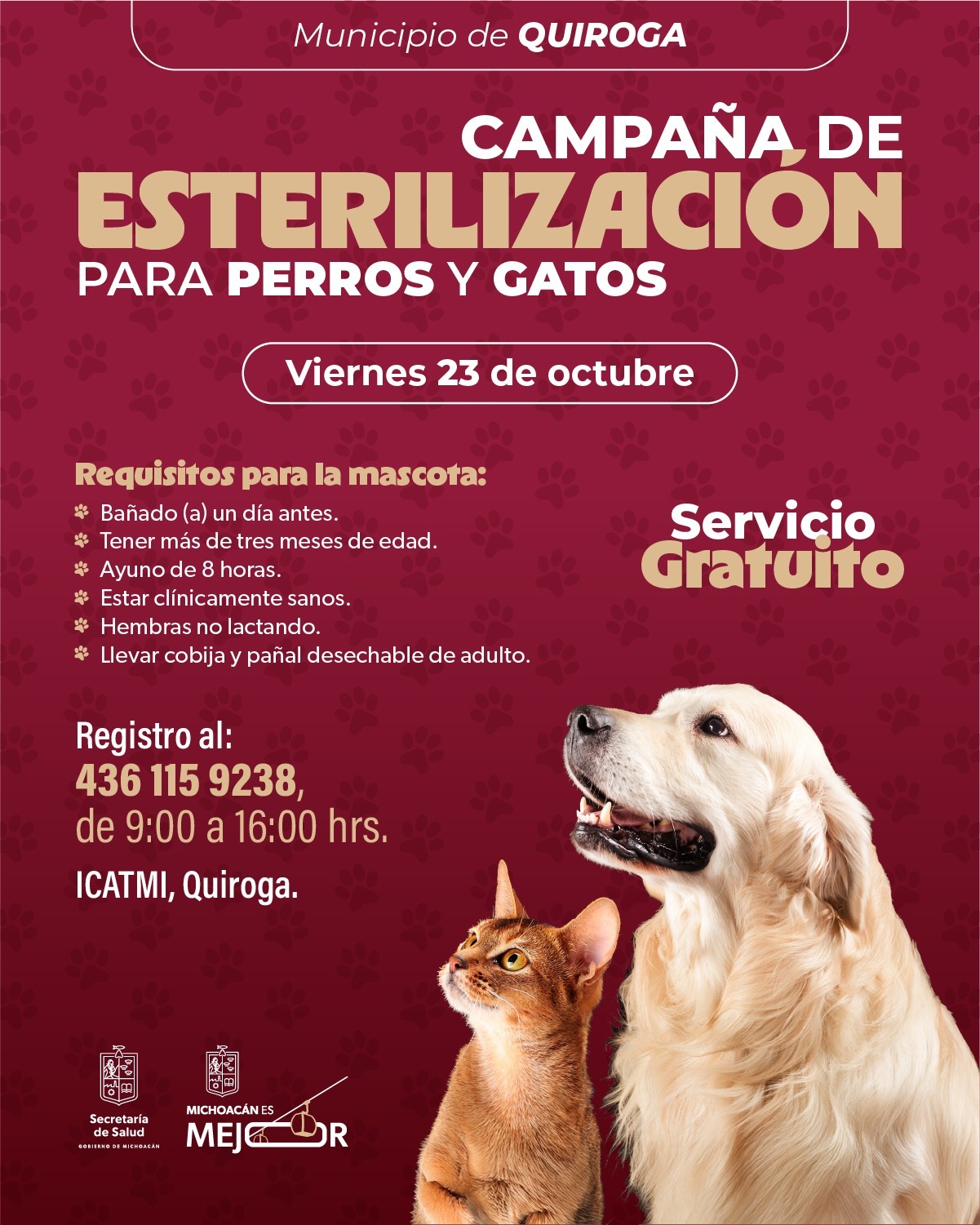 SSM llevará jornada gratuita de esterilización canina y felina a Quiroga