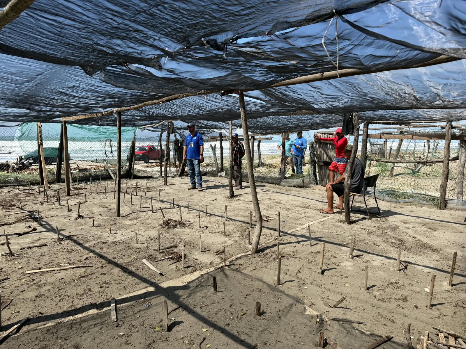 Habilitan centros de acopio para recuperación de campamentos tortugueros
