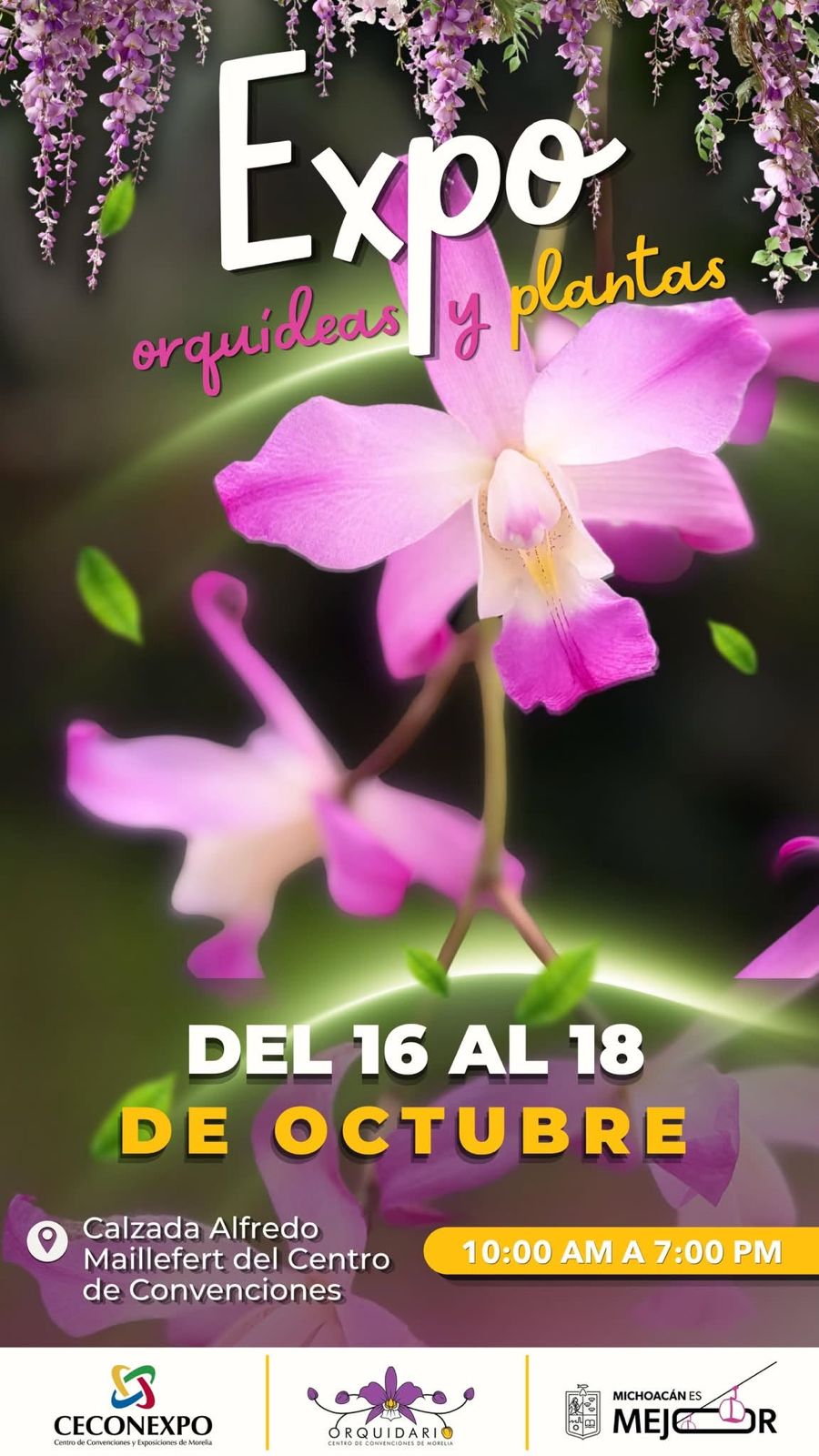 Ceconexpo invita a disfrutar de la Expo Orquídeas y Plantas 2026 en Morelia
