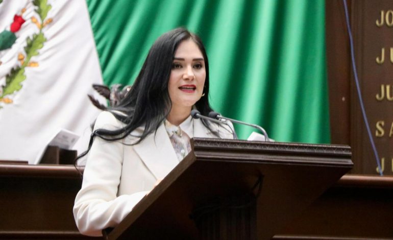 Propone Diana Espinoza, emplacamiento de origen para acabar con permisos irregulares