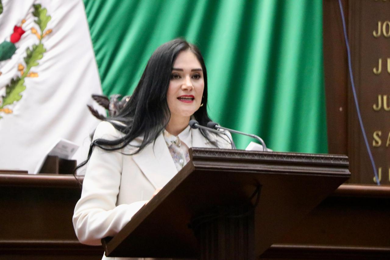 Propone Diana Espinoza, emplacamiento de origen para acabar con permisos irregulares