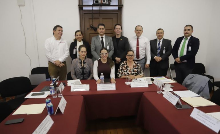 En Comisiones Unidas, legisladores sostienen reuniones con CFE, CEAGC y Catastro
