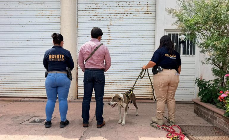 Rescata FGE a ejemplar canino en severo estado de desnutrición durante cateo en Zitácuaro