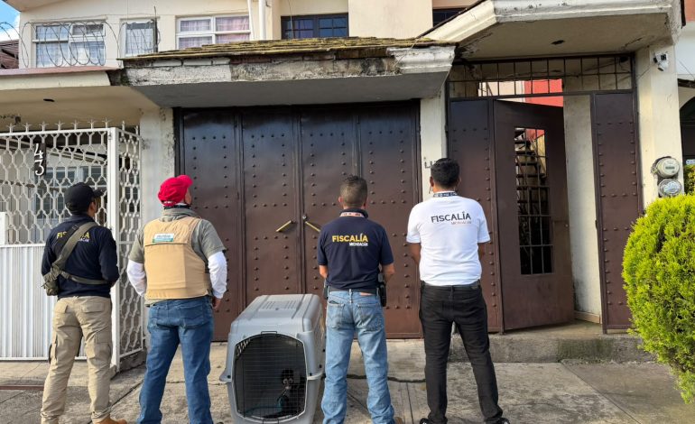 Asegura Fiscalía General un mono araña en condiciones de cautiverio en Uruapan