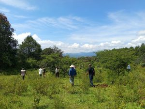Michoacán triplica superficie de conservación forestal; más de 212 mil hectáreas protegidas