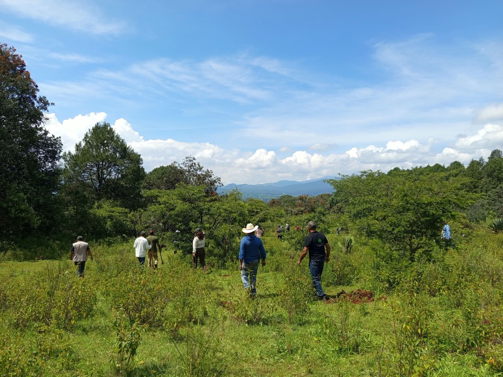 Michoacán triplica superficie de conservación forestal; más de 212 mil hectáreas protegidas