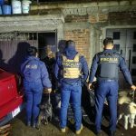 Cumplimenta FGE orden de cateo y asegura dos caninos en Uruapan