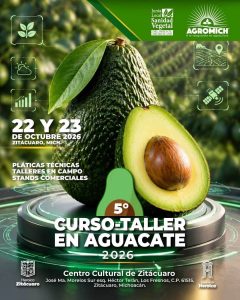Zitácuaro reunirá a productores y especialistas para impulsar la innovación en el cultivo del aguacate