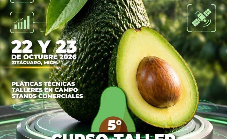 Zitácuaro reunirá a productores y especialistas para impulsar la innovación en el cultivo del aguacate